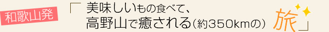 vol.10 和歌山発　美味しいもの食べて、高野山で癒される（約350Kmの）旅