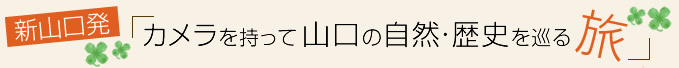 vol.14 新山口発!カメラを持って山口の自然・歴史を巡る旅