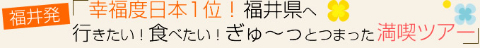 福井発！幸福度日本1位！福井県へ行きたい！食べたい！ぎゅ～っとつまった満喫ツアー