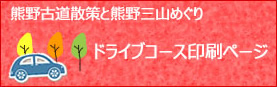 ドライブコース印刷ページ