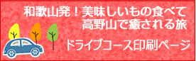 ドライブコース印刷ページ