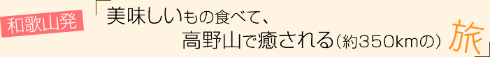 vol.10 和歌山発！美味しいもの食べて、高野山で癒される（約350kmの）旅～１日目