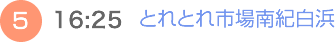 （5）16:25　とれとれ市場南紀白浜