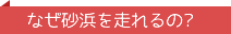 なぜ砂浜を走れるの?