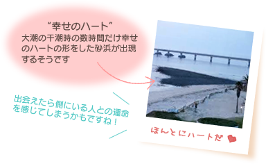 幸せのハート～大潮の干潮時の数時間だけ幸せのハートの形をした砂浜が出現するそうです