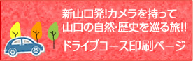 ドライブコース印刷ページ