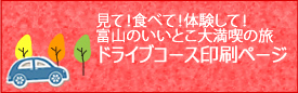 ドライブコース印刷ページ