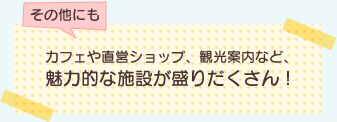 その他にもカフェや直営ショップ、観光案内など、魅力的な施設が盛りだくさん！