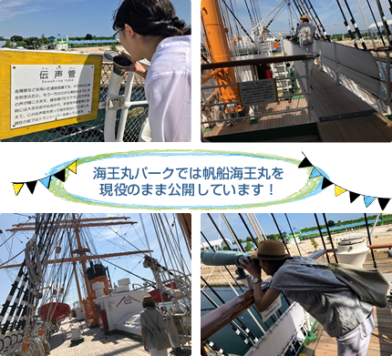 海王丸パークでは帆船海王丸を現役のまま公開しています！