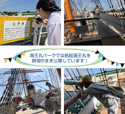 海王丸パークでは帆船海王丸を現役のまま公開しています!