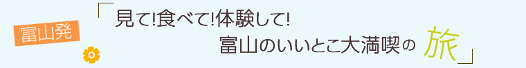 富山発！見て！食べて！体験して！富山のいいとこ大満喫の旅～１日目