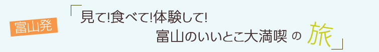富山発！見て！食べて！体験して！富山のいいとこ大満喫の旅～2日目