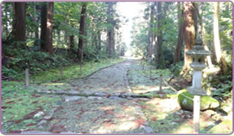 平泉寺白山神社1