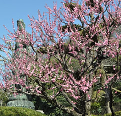 五月山公園