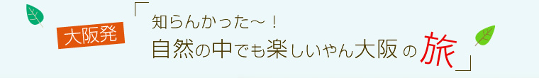 大阪発！知らんかった～！自然の中でも楽しいやん大阪の旅～２日目