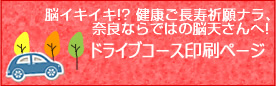 ドライブコース印刷ページ