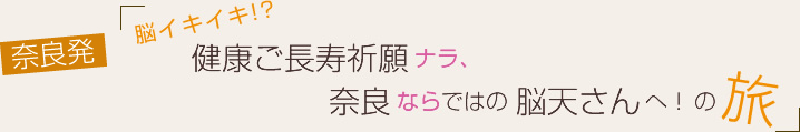 vol.04 脳イキイキ!?健康ご長寿祈願ナラ、奈良ならではの脳天さんへ！の旅～２日目