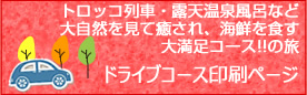 ドライブコース印刷ページ