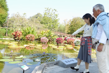 草津市立水生植物公園みずの森2