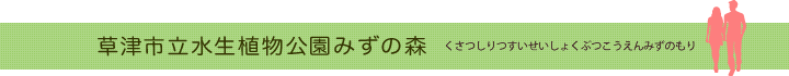 草津市立水生植物公園みずの森
