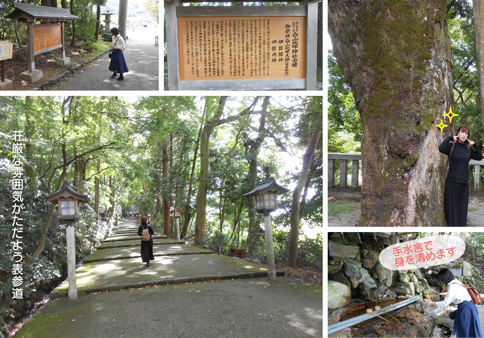 白山比咩神社の境内の様子