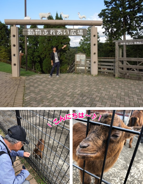 動物ふれあい広場入り口